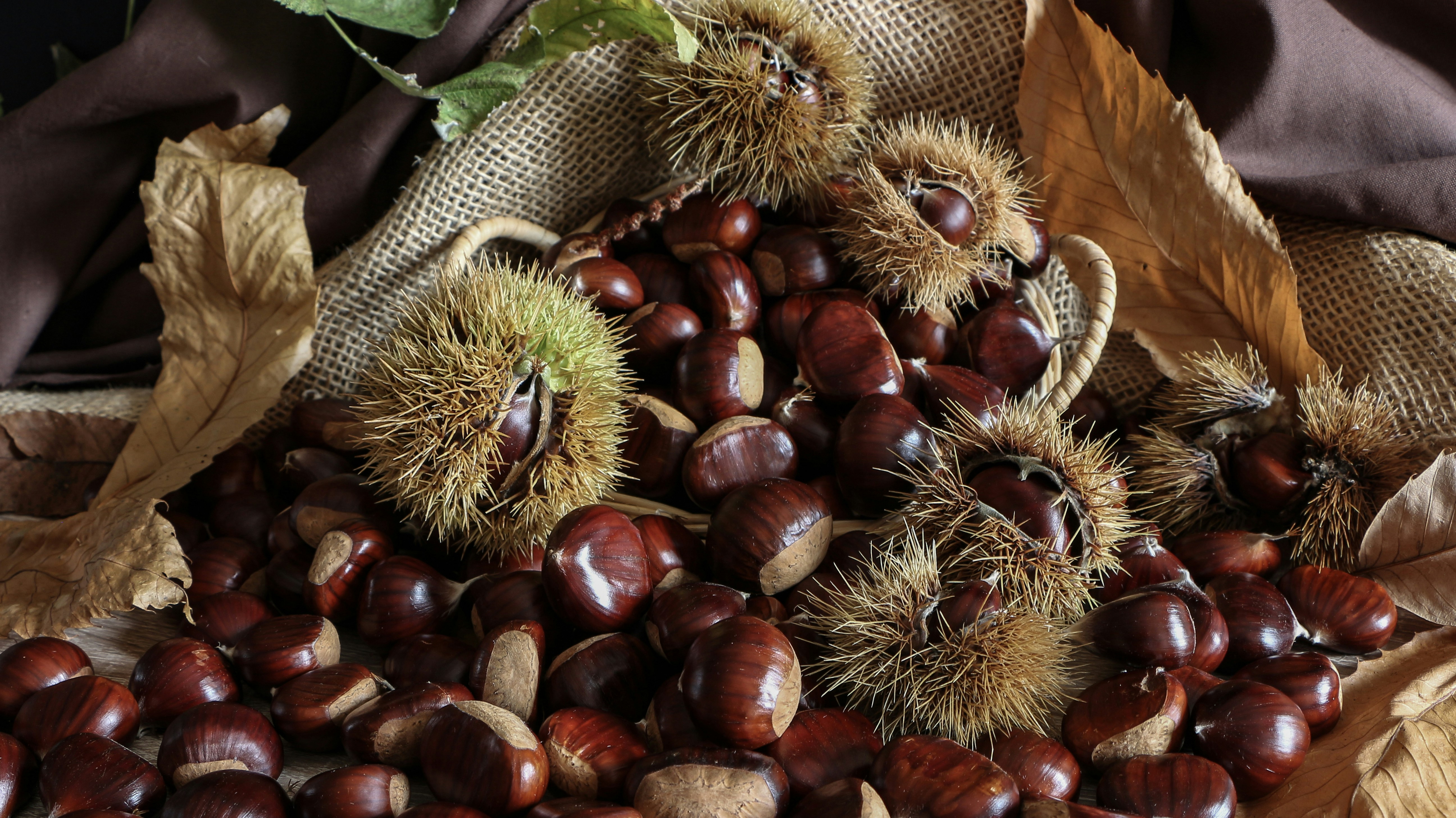 Castagne arrostite